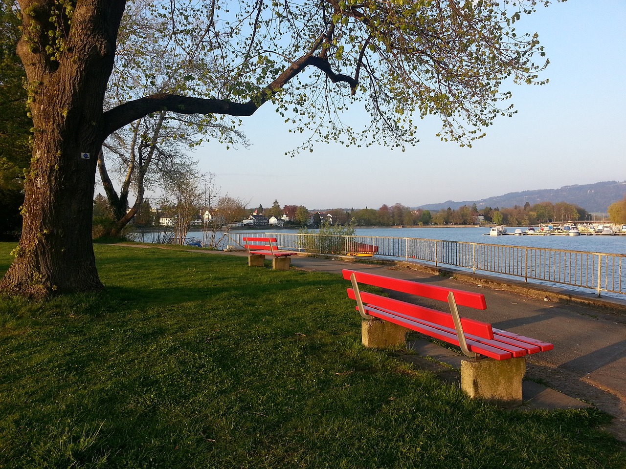 对于河南这 对于河南这