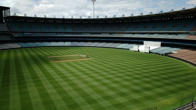 羅地亞的頂 羅地亞的頂