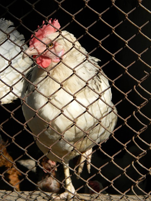 晋级之路 晋级之路