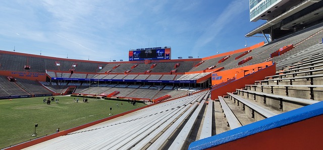 上海申花依 上海申花依