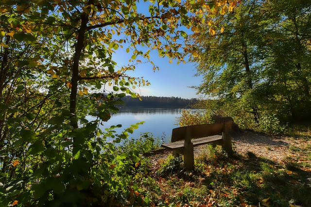 作为一名 作为一名