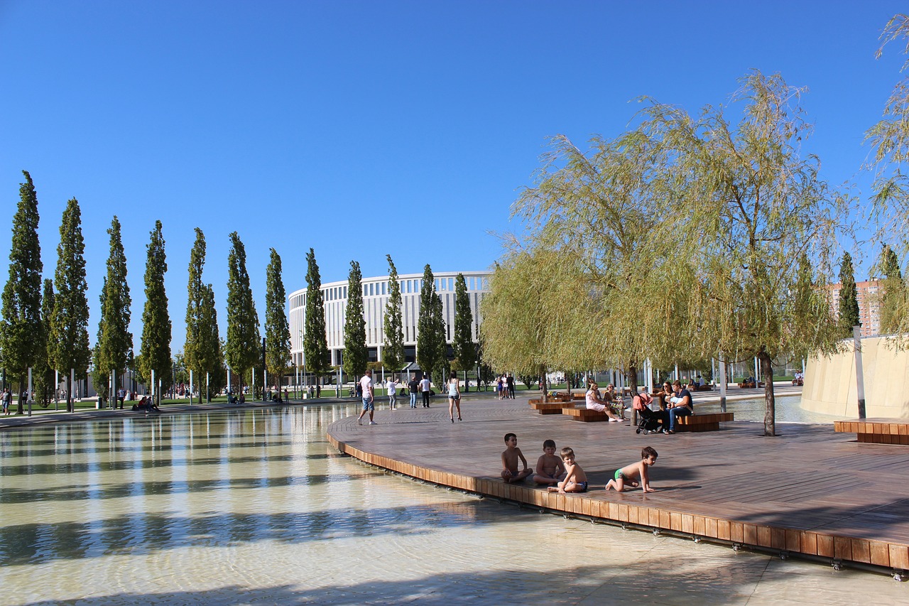 这两名球员 这两名球员