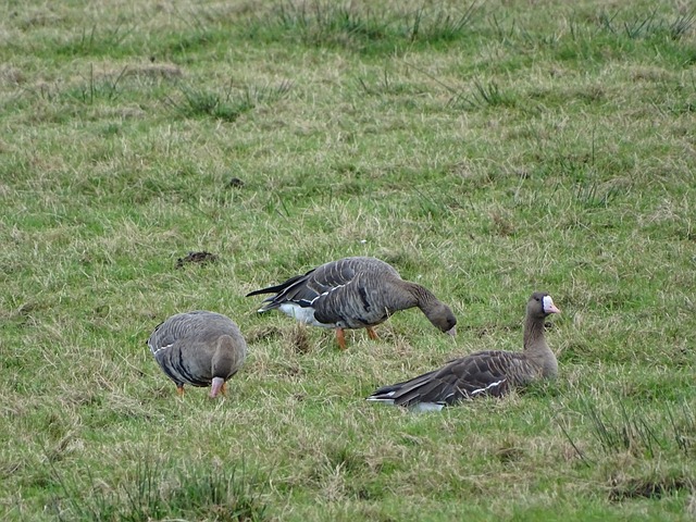 浦主力攻击 浦主力攻击