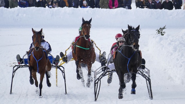 界杯資格賽 界杯資格賽